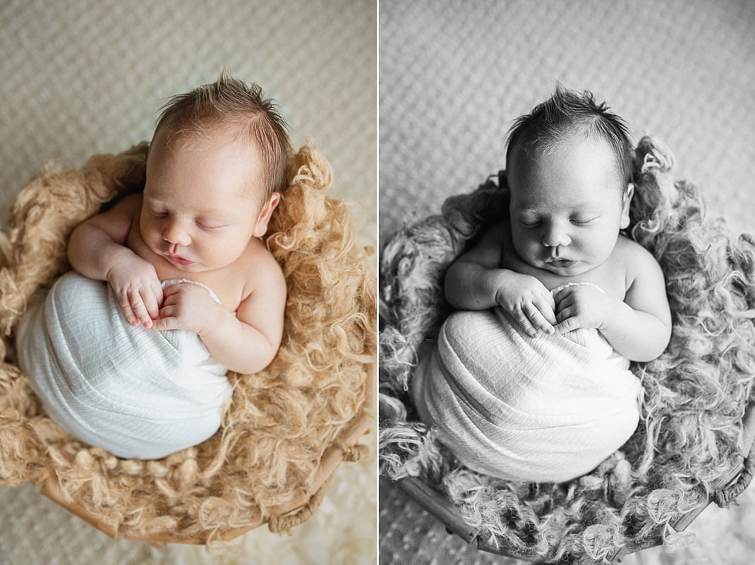 Baby boy posed in a basket during newborn photos with Sarah Morris Photography in Collierville, TN