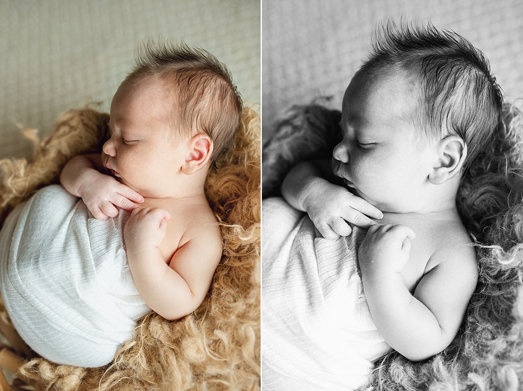 Baby boy posed in a basket during newborn photos with Sarah Morris Photography in Collierville, TN