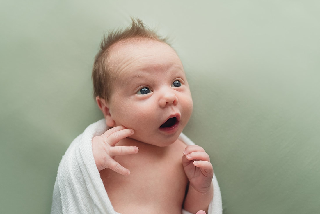 Newborn Photos by Sarah Morris Photography in Collierville, TN