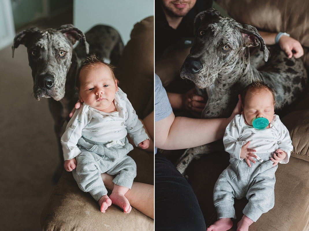 Family Portraits during newborn session by Sarah Morris Photography in Collierville, TN