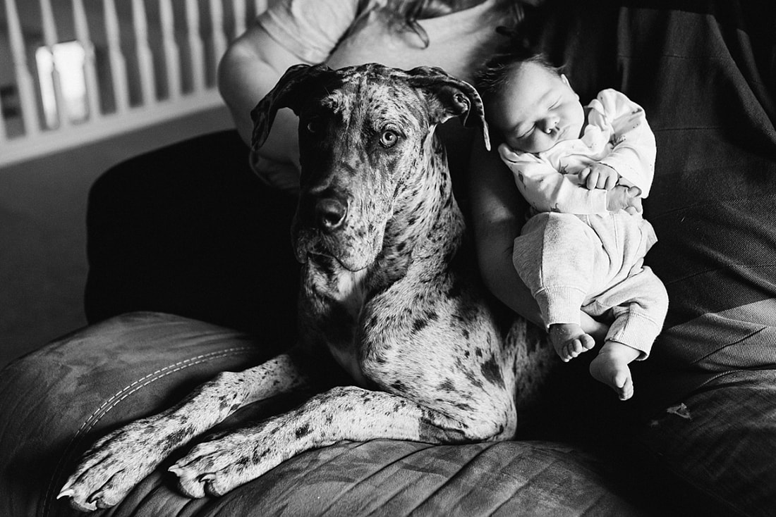 Family Portraits during newborn session by Sarah Morris Photography in Collierville, TN