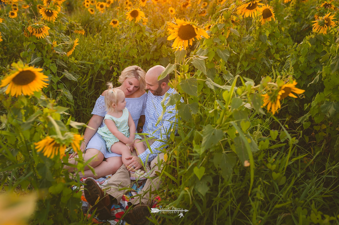family photos in sunflower field at the agricenter, memphis, tn