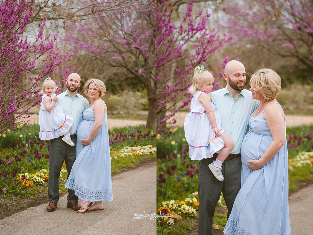 Memphis maternity photography for a rainbow baby at Memphis Botanic Garden by Sarah Morris Photography