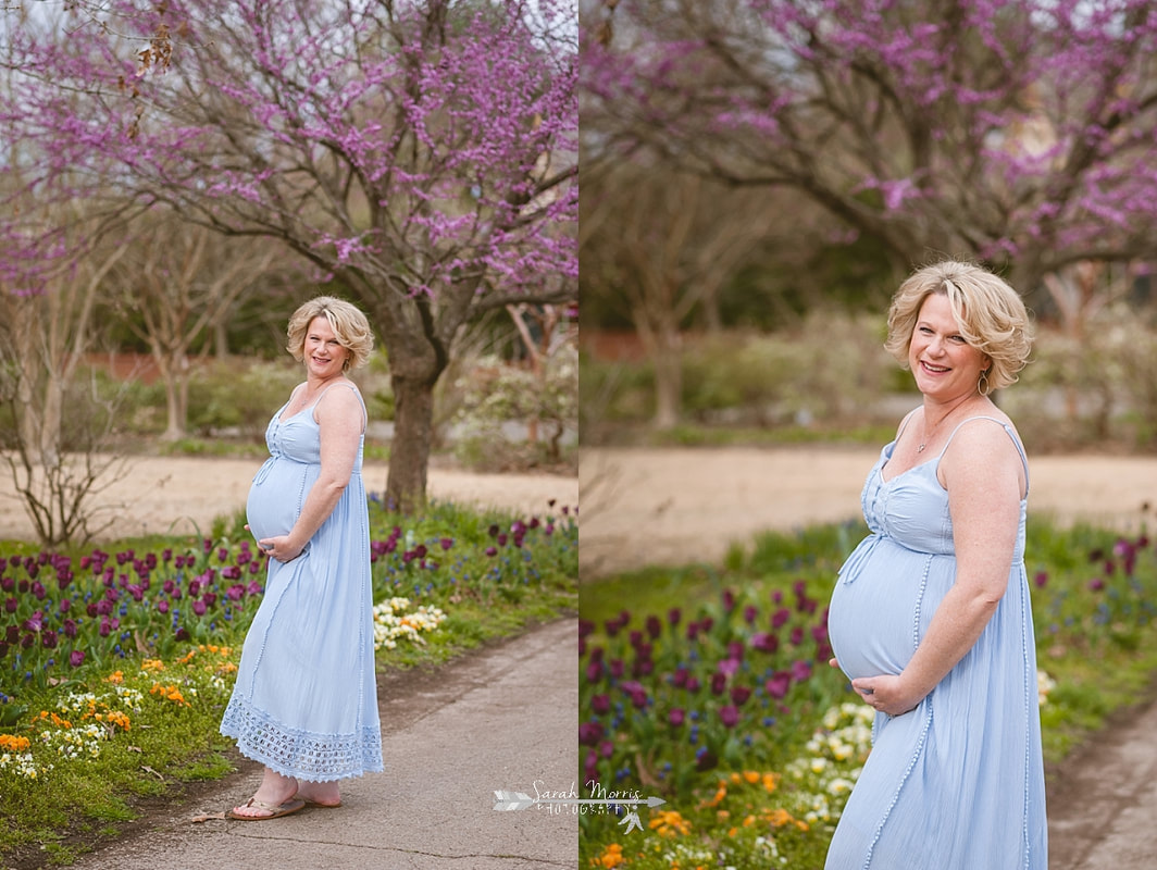 Memphis maternity photography for a rainbow baby at Memphis Botanic Garden by Sarah Morris Photography