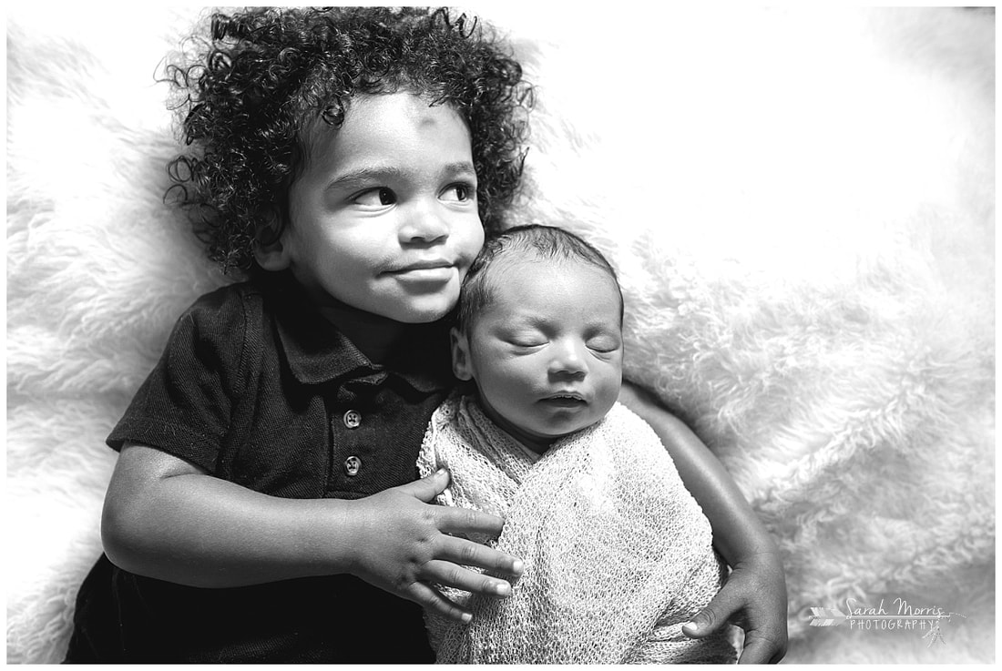 newborn photos with toddler sibling on white fur