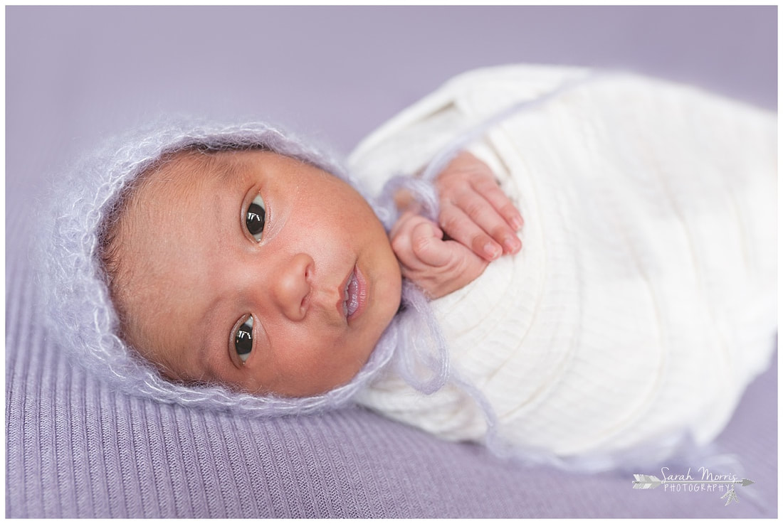 newborn photos of baby girl on purple blanket wearing a bonnet