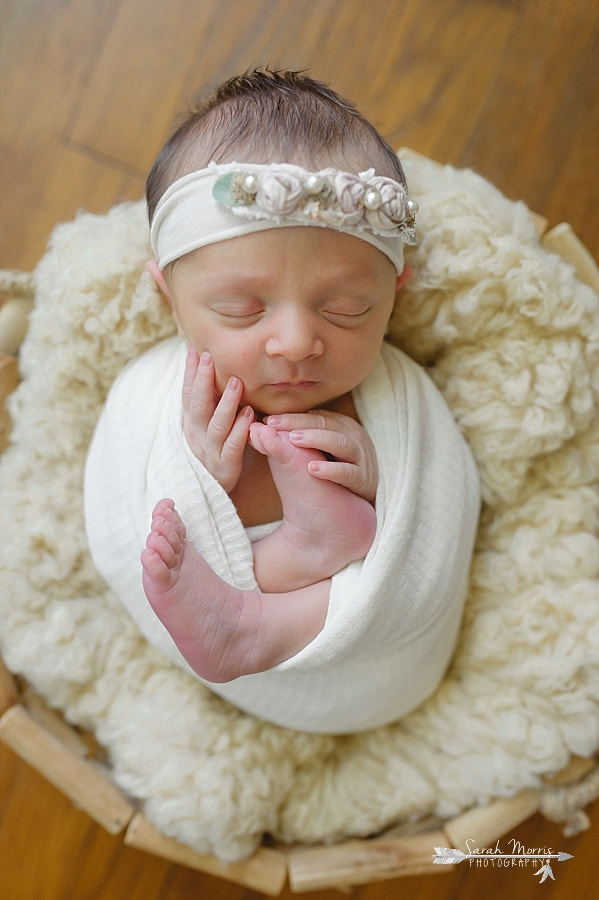 Newborn Photography | Newborn photo of baby girl posed in a basket at her Newborn Photo Session in Memphis, TN