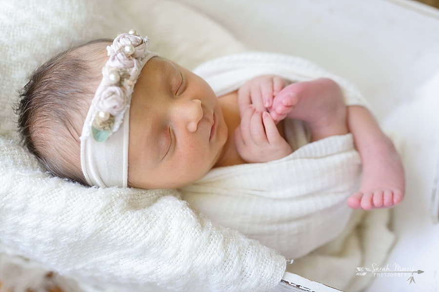 Newborn Portraits in Memphis, TN