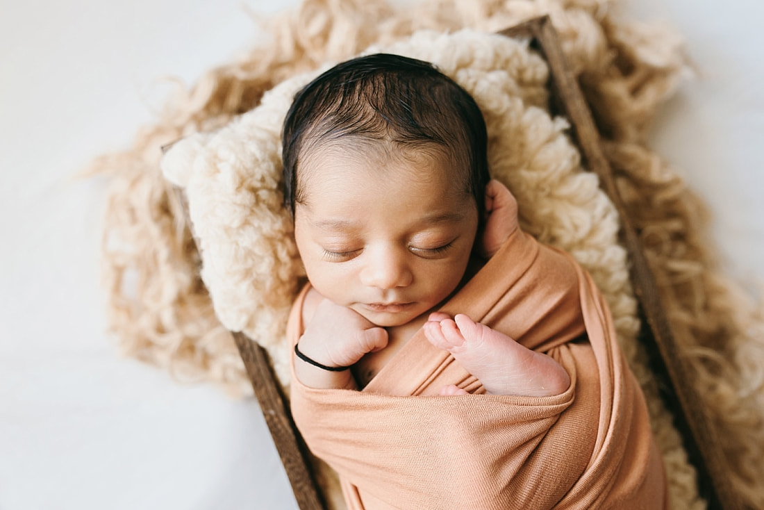 newborn portraits in memphis