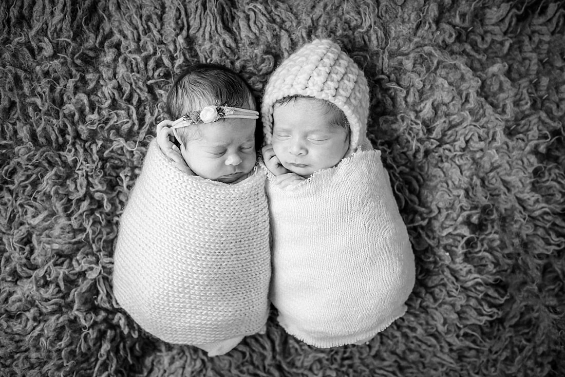 Twin Newborn Portraits in Memphis, TN