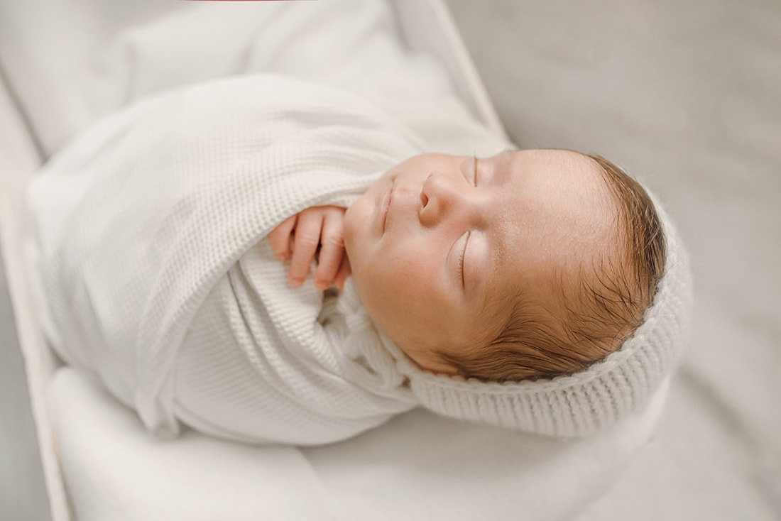 Newborn Portraits in Memphis, TN