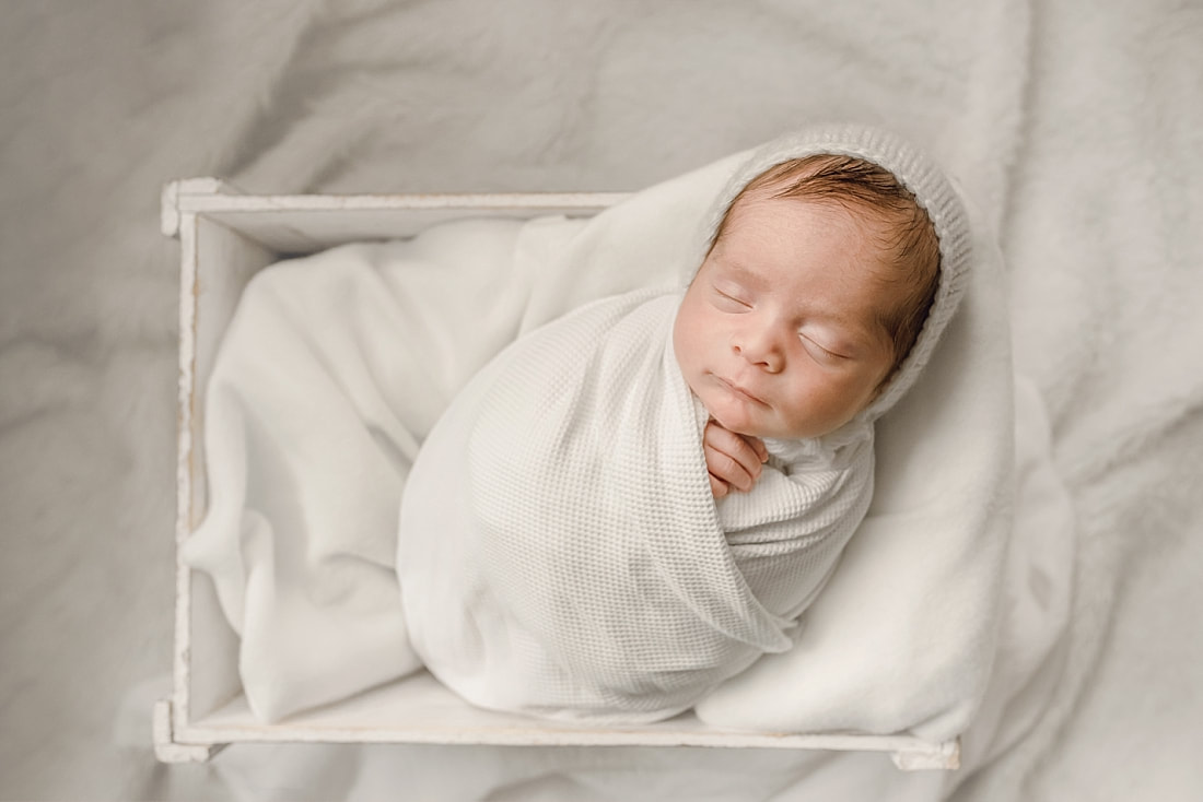 Newborn Portraits in Memphis, TN