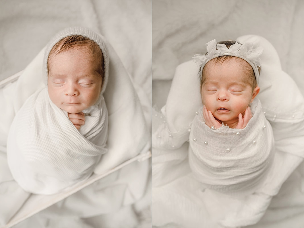 Twin Newborn Portraits in Memphis, TN
