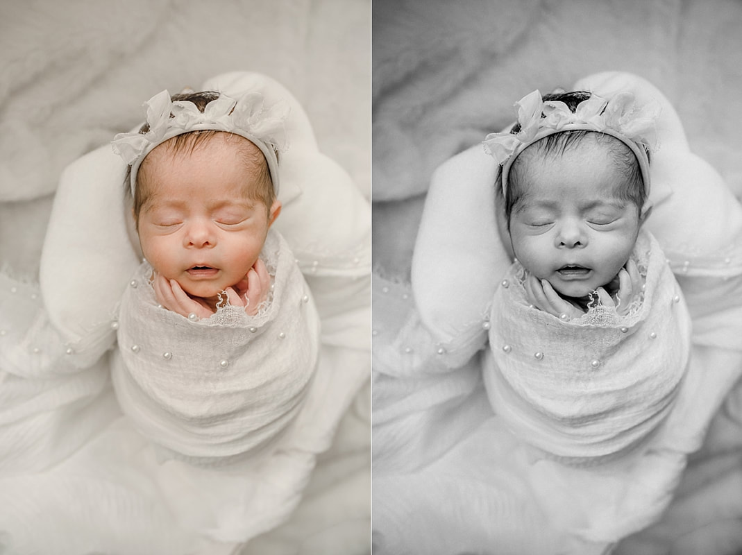Newborn Portraits in Memphis, TN